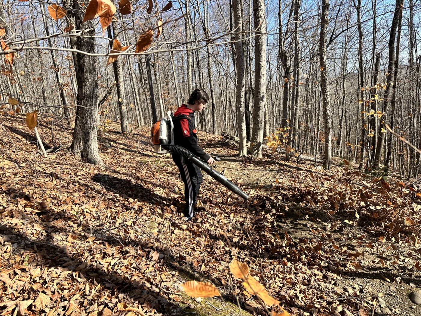 Volunteers clearing trails at Nordic Heritage, Presque Isle