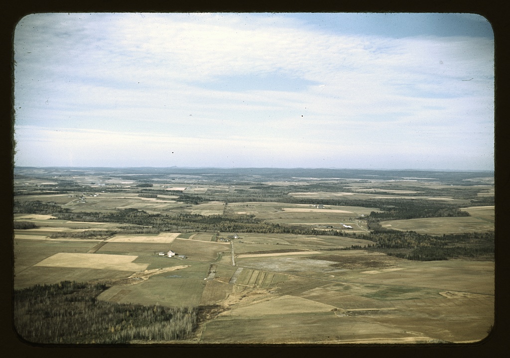 Potato farms in Aroostook County, Maine, 1940