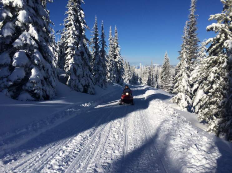 Snowmobiler on a groomed route